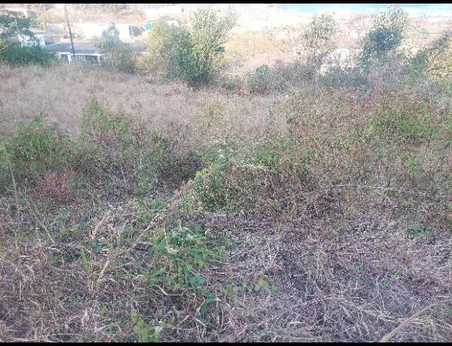 LAND FOR SALE IN ADAMS MISSION